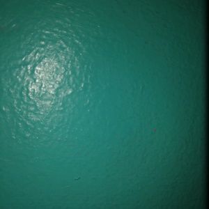 Meet your Posher, Lexie